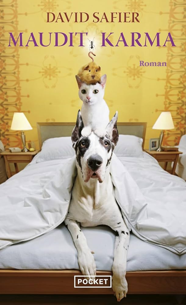 Couverture du livre Maudit karma par David Safier.