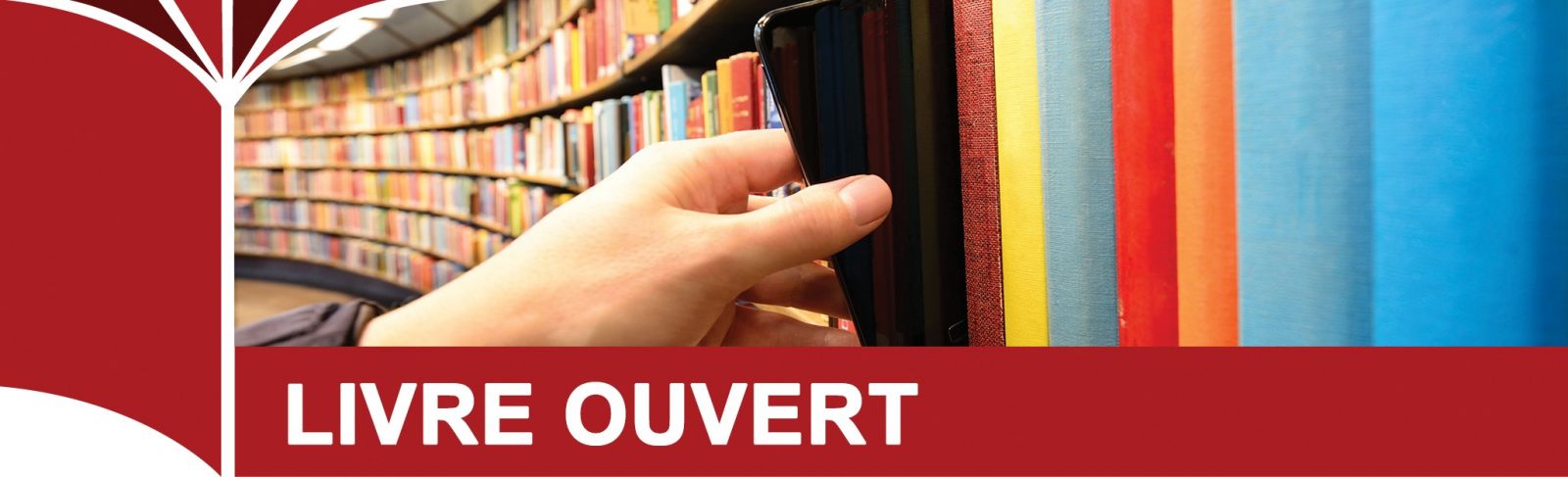 Logo de Livre ouvert