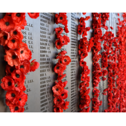 Red poppies are attached to a memorial with names of soldiers.