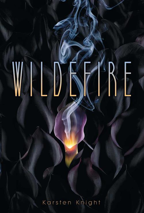 Cover of the book Wildefire by Karsten Knight.